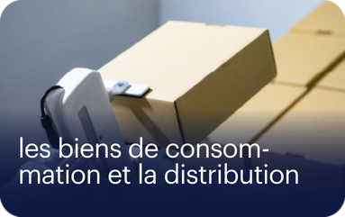 les biens de consommation