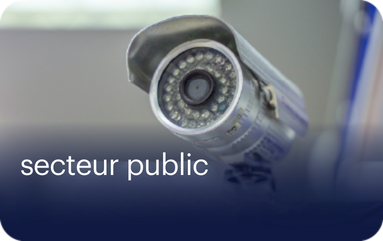 secteur public
